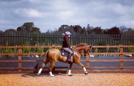 In the saddle fitting arena with Phillip Ireland